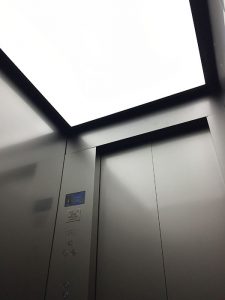 ALIC-F31