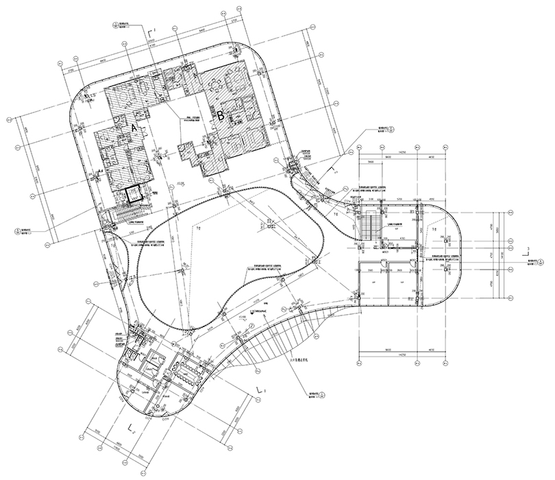 CHCC-F11